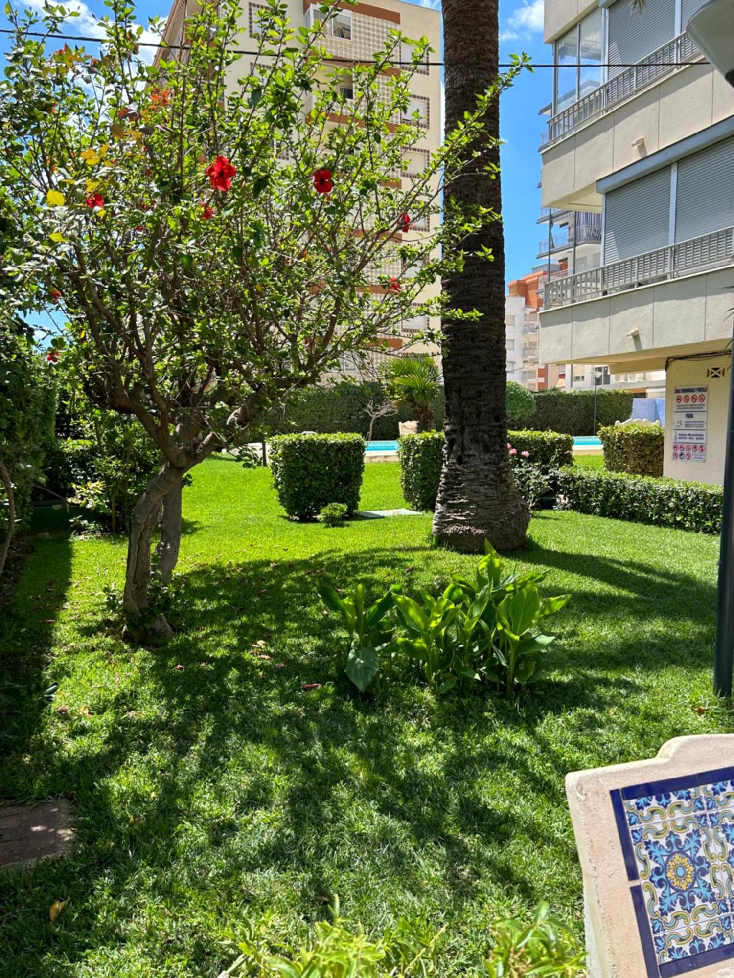 Apartamento Gandia Playa 150M Playa Con Parking Privado Y Piscina Playa de Gandia 외부 사진